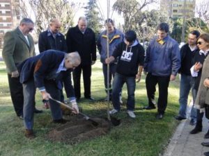 Arboles para la plaza mitre