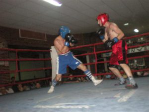 boxeo festival (16)