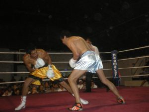 boxeo profesional (6)