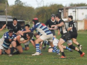 Rugby - del acuerdo - pinguino - 18 de mayo 2014 6