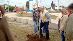 Plantacion arboles - Plaza María Auxiliadora 140621