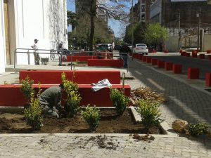 plantas en la plaza