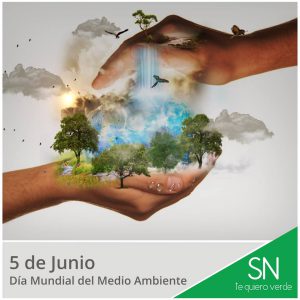 medio ambiente 2016