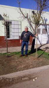 planto su arbol