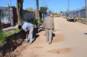 barrio doce