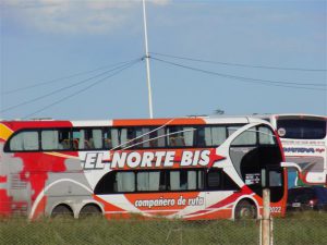 colectivo