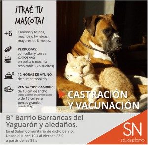 vacunacion y castracion yaguaron