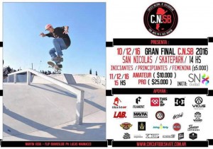 afiche skate